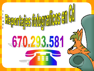 20070707163059-fr-cats.png